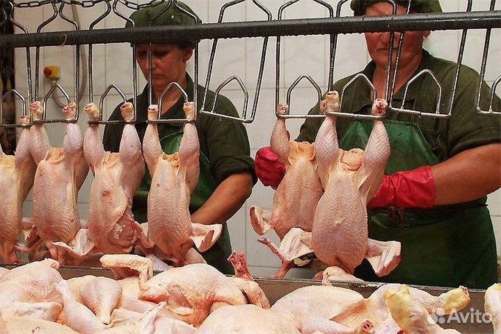 Вахта Белгород Проживание Питание Упаковщик-ца