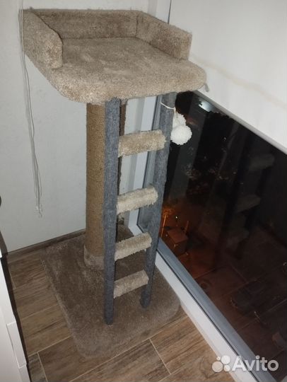 Когтеточка