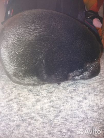 Меховая мужская кепка