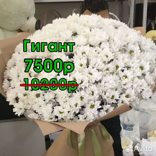 Доставка цветов сочи букеты розы пионы