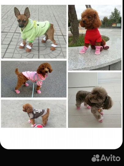 Угги для собак