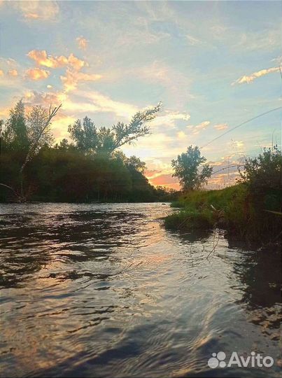 Дом посуточно