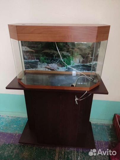 Аквариум