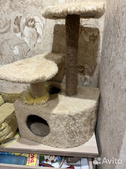 Когтеточка