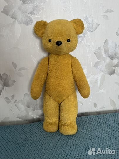 Медведи СССР