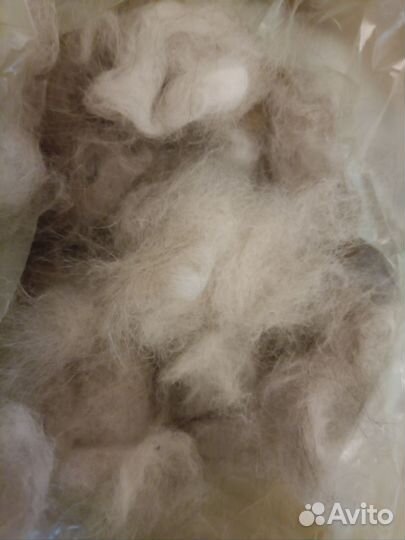 Кошачья шерсть