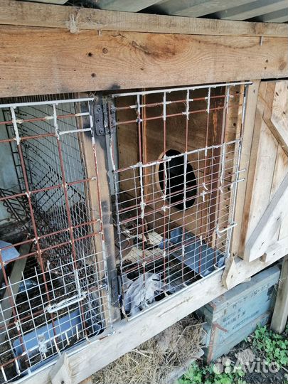 Крольчатник