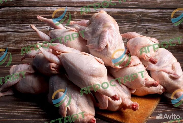 Перосъемная машина NT 600 A