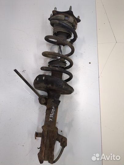 Амортизатор подвески Honda CR-V, 2007