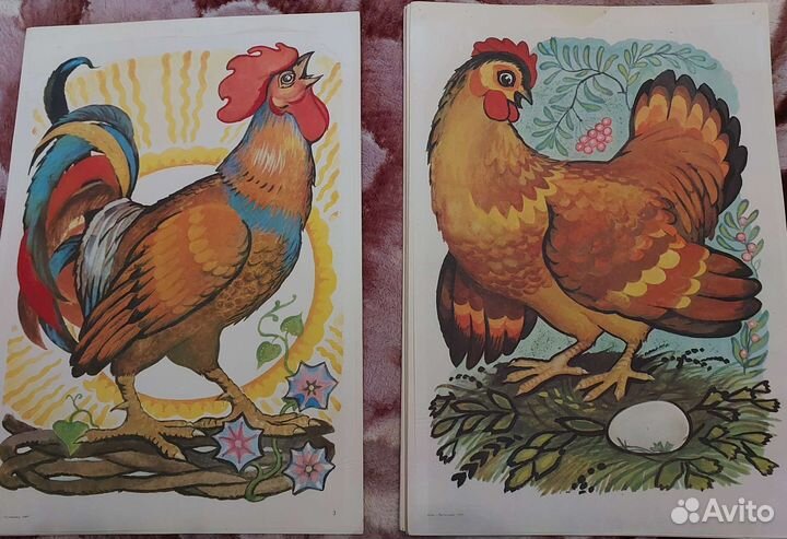 Наглядное пособие СССР