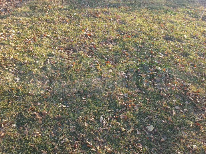 Участок 30 сот. (СНТ, ДНП)