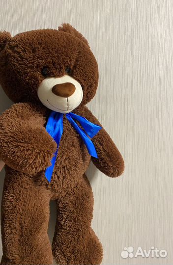 Плюшевый медведь
