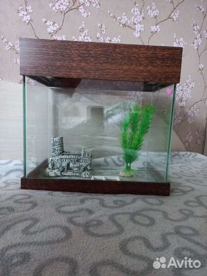 Аквариум для рыб