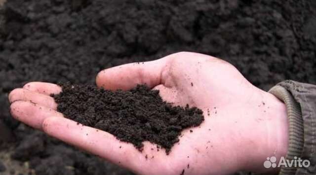 Плодородный грунт Грунт плодородная земля