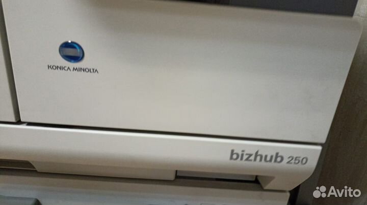 Мфу konica minolta bizhub 250