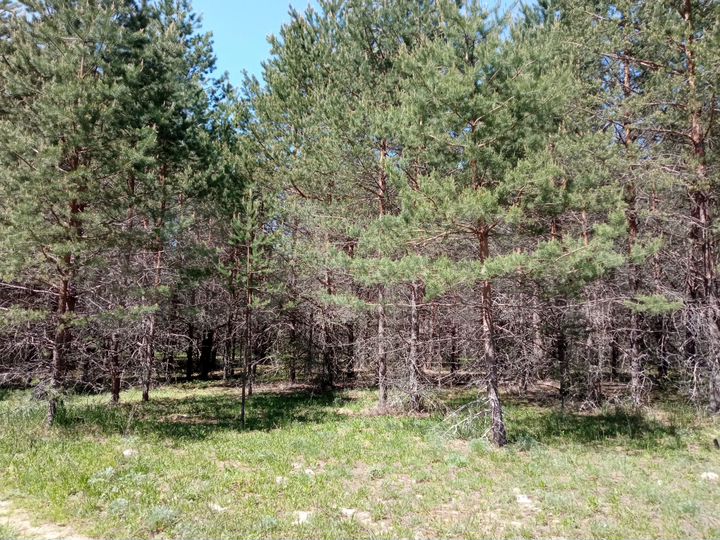 Участок 26,7 га (СНТ, ДНП)