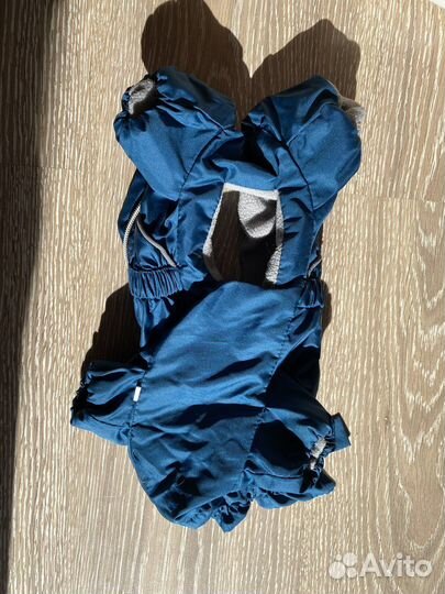 Комбинезон весна осень для собак мелких пород