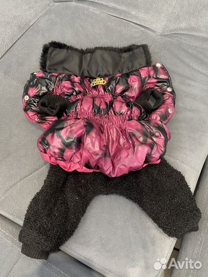 Одежда для маленьких собак