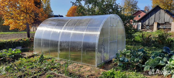 Теплица Усиленная