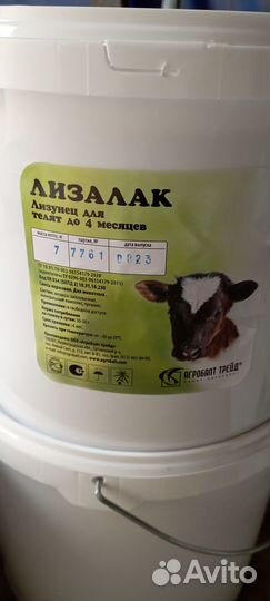 Лизалак лизунец (соль)