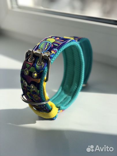 Шлейка, ошейник, поводок для собак