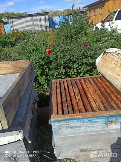 Ульи для пчел, рамки