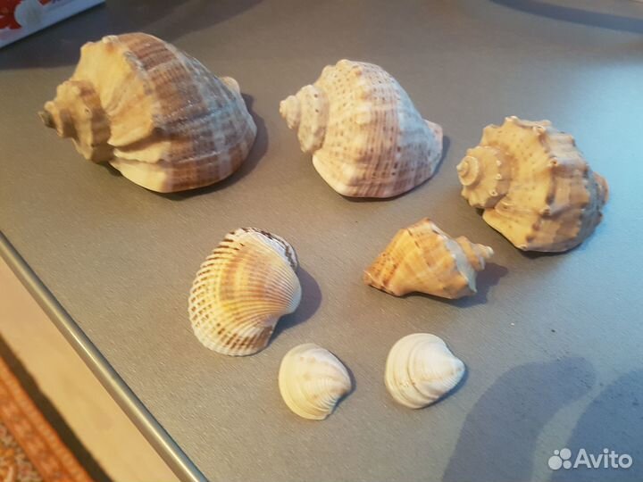 Банки все сразу