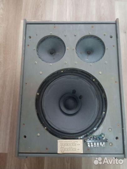 Динамик 35гд2