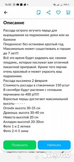 Рассада перцев