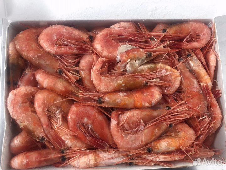 Краб, Креветка, Гребешок