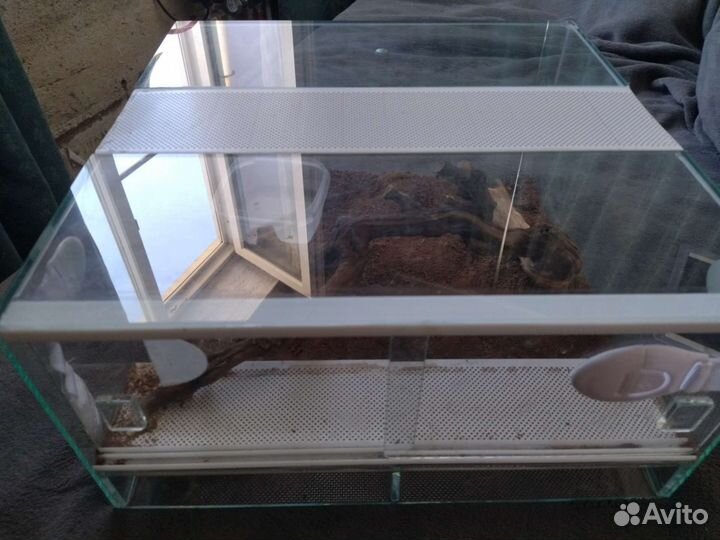 Террариум для рептилий бу