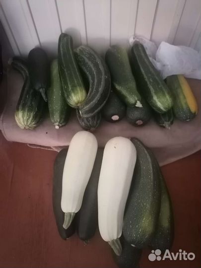 Огурцы,малина,кабачки