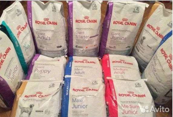 Корма для собак Royal Canin 8-20кг