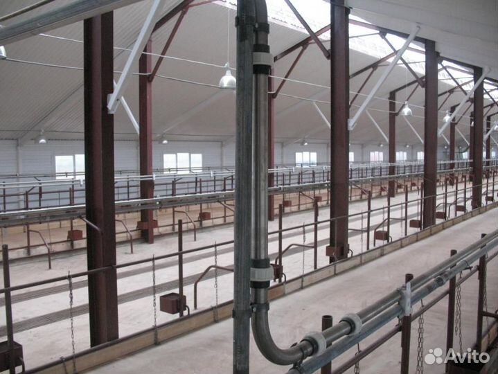 Молокопровод для содержания 100 голов крс
