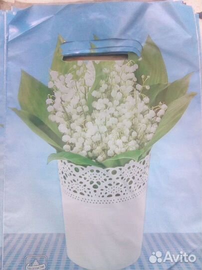 Пакет 19*30см