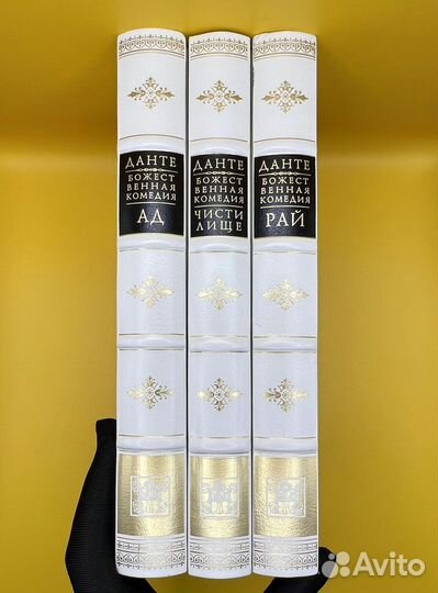 Данте Алигьери божественная комедия. Вита Нова
