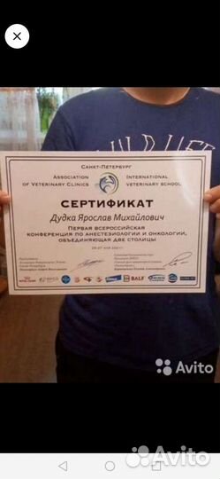 Ветеринарный врач 24/7