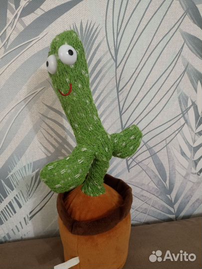 Танцующий кактус