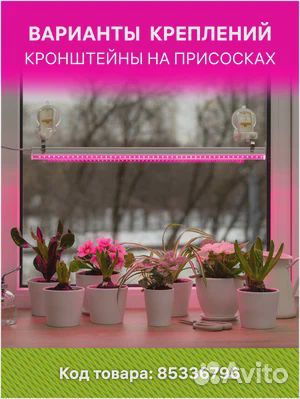 Фитолампа для растений