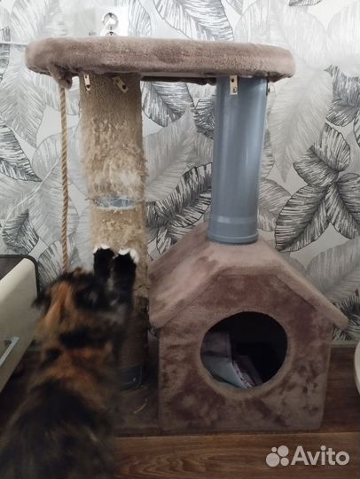 Домик когтеточка