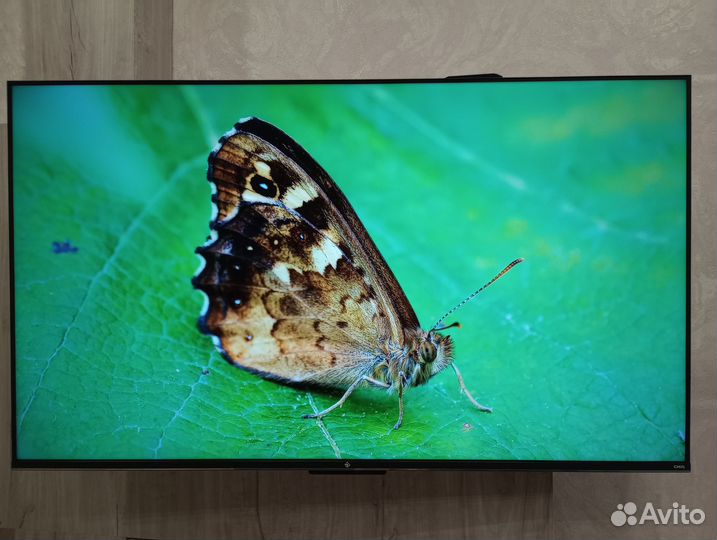 Телевизор dexp 50QCG