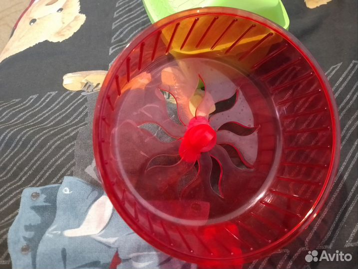 Поилки, беговые колесики, домики, кормушка