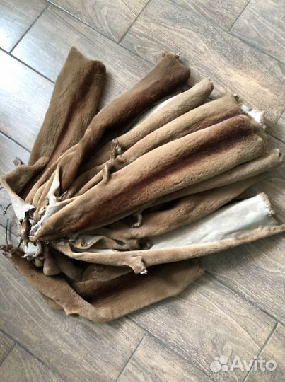 Мех норки шкурки