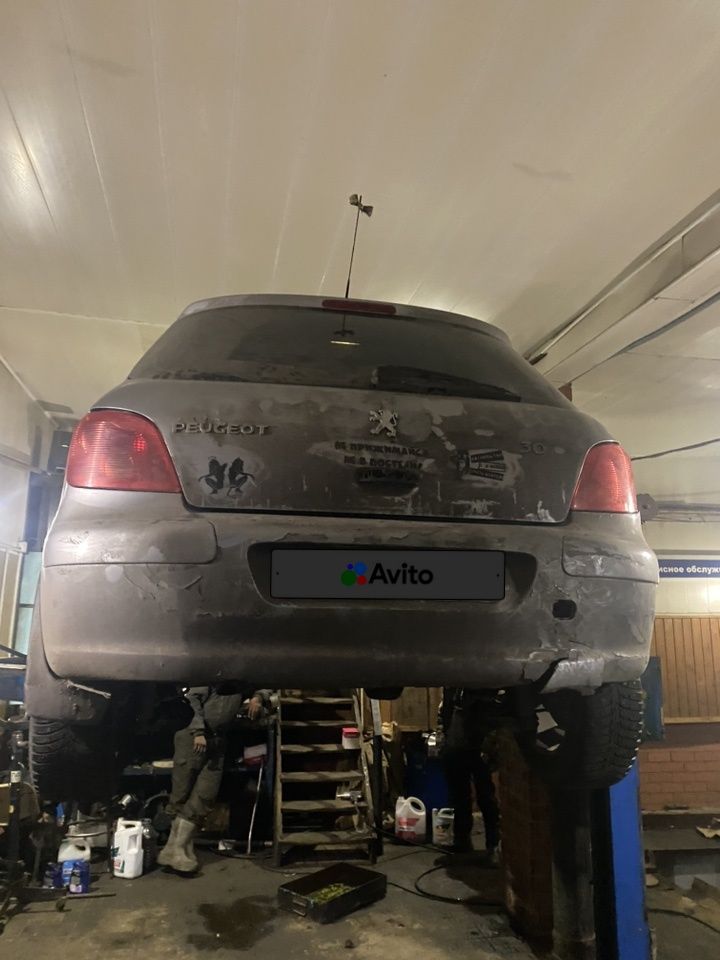 Peugeot 307: фото владельца