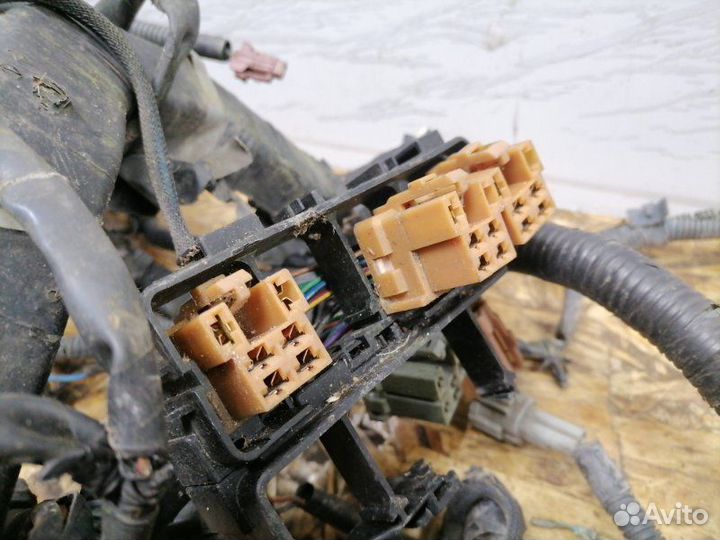 Проводка подкапотная Nissan Maxima A33 VQ20DE 2004