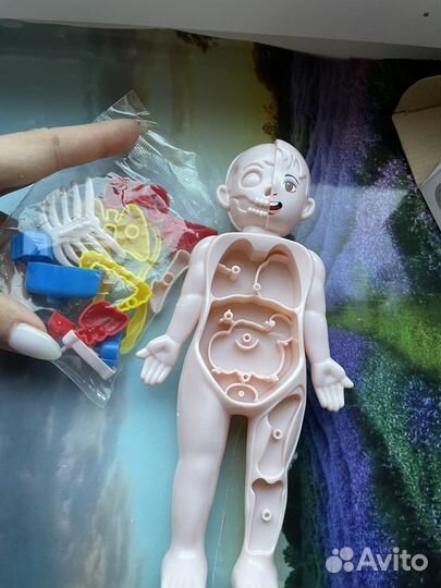 Игровой набор тело человека