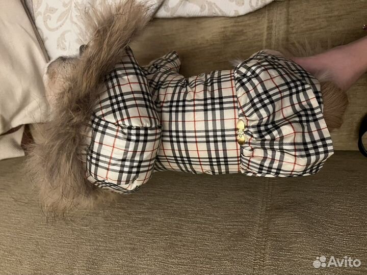 Одежда для собак мелких пород комбинезон зимний