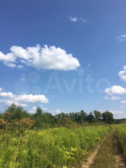 Участок 8 сот. (ИЖС)