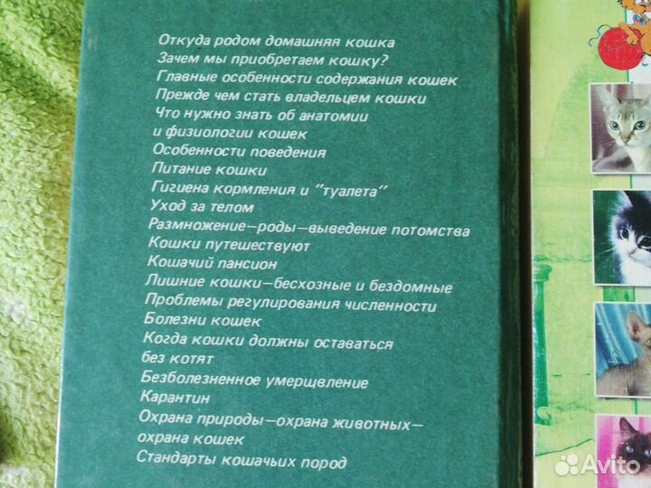 Книга, Кошки