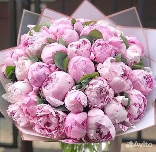 Пионы Букет